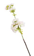 Artificial 68cm Single Stem White and Pink Tipped Japanese Cherry Blossom